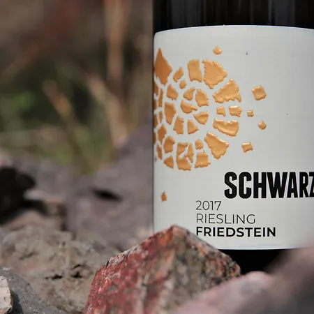 Apartamento Weingut Martin Schwarz Meißen Exterior foto