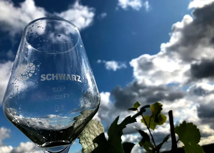 Weingut Martin Schwarz