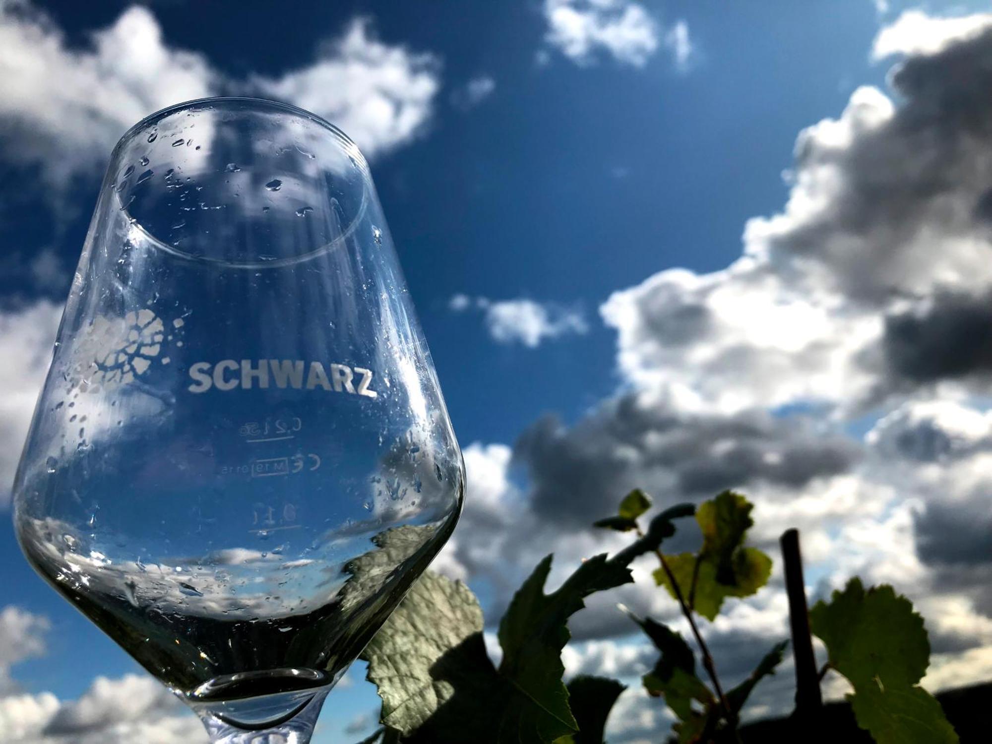 Apartment Weingut Martin Schwarz Meissen
