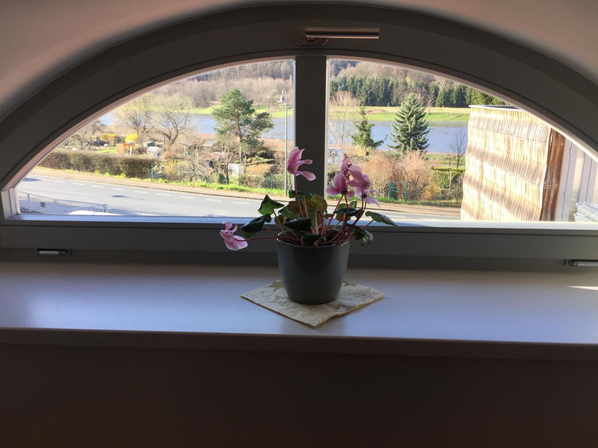 Weingut Martin Schwarz Apartment