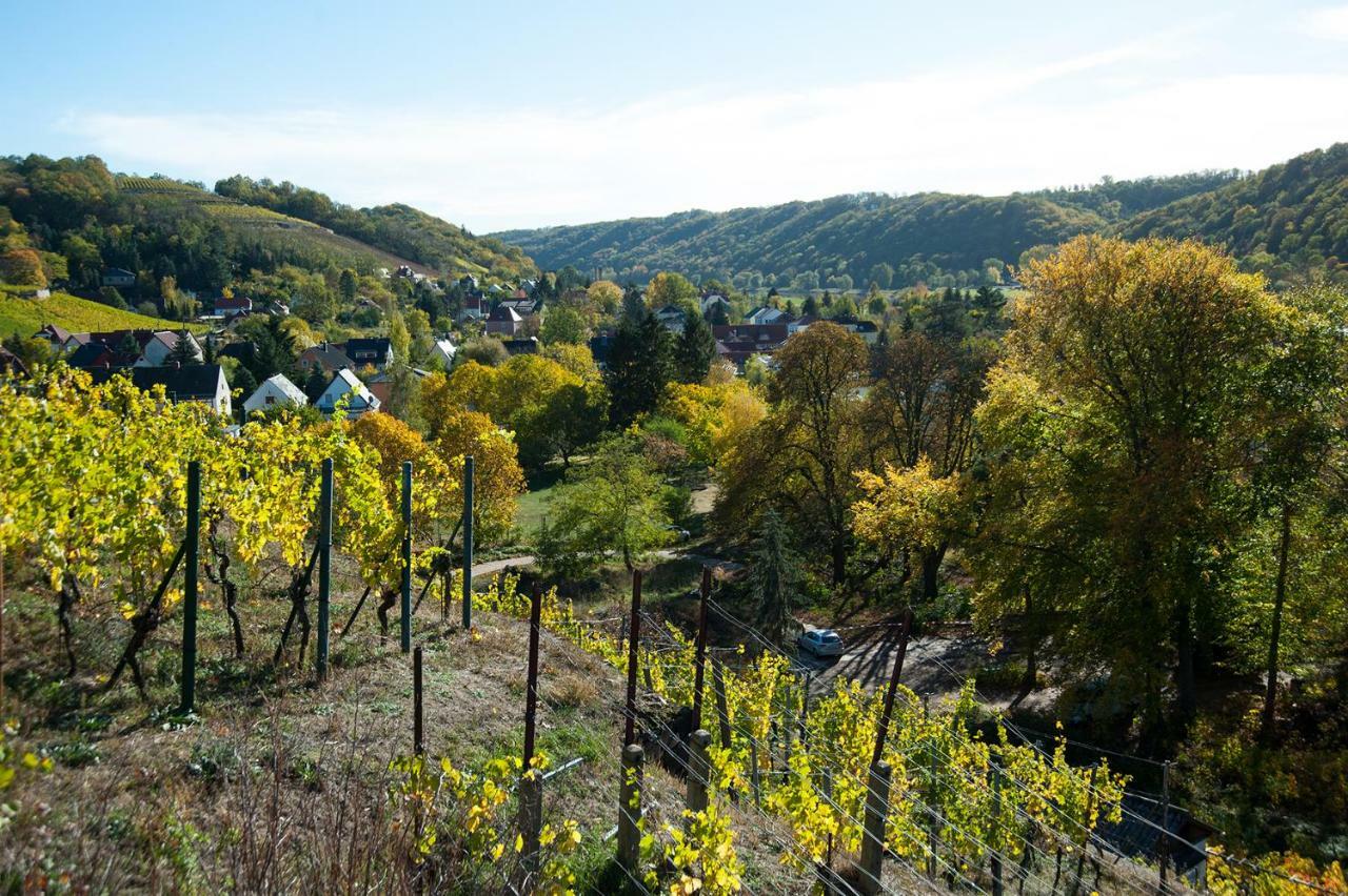 Weingut Martin Schwarz Apartment *